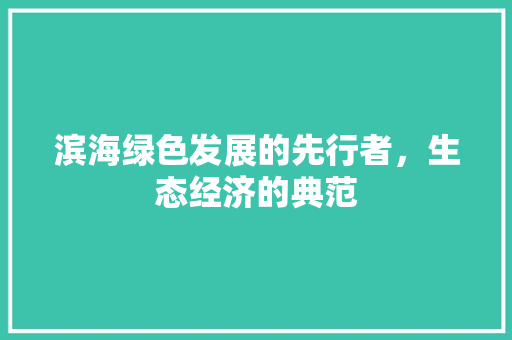 滨海绿色发展的先行者，生态经济的典范 必应SEO