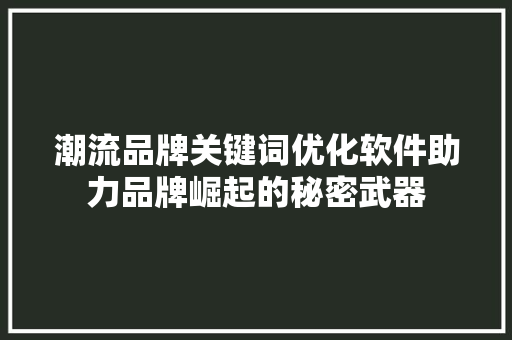 潮流品牌关键词优化软件助力品牌崛起的秘密武器 GoogleSEO