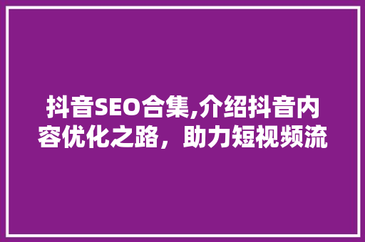 抖音SEO合集,介绍抖音内容优化之路，助力短视频流量飙升 GoogleSEO