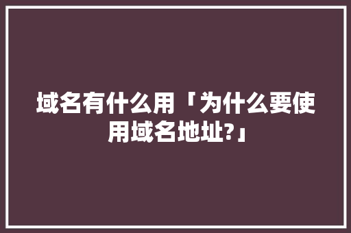 域名有什么用「为什么要使用域名地址?」 域名有什么用「为什么要使用域名地址?」 神马SEO