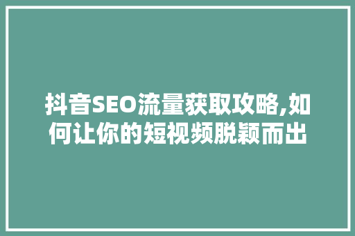 抖音SEO流量获取攻略,如何让你的短视频脱颖而出 神马SEO