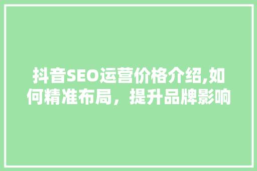 抖音SEO运营价格介绍,如何精准布局，提升品牌影响力 百度SEO