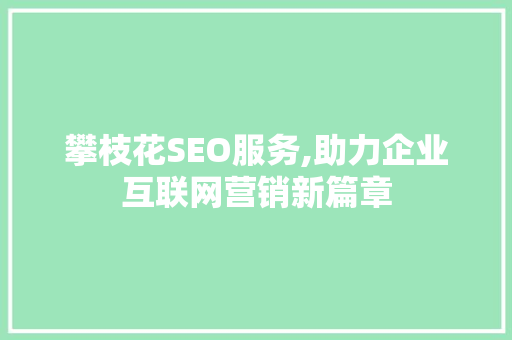 攀枝花SEO服务,助力企业互联网营销新篇章 GoogleSEO