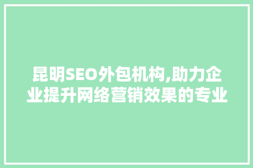 昆明SEO外包机构,助力企业提升网络营销效果的专业选择 百度SEO