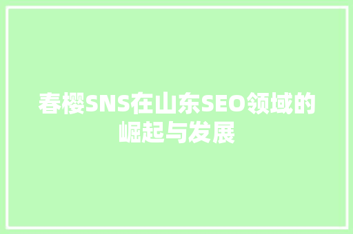 春樱SNS在山东SEO领域的崛起与发展