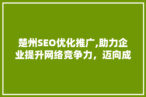 楚州SEO优化推广,助力企业提升网络竞争力，迈向成功之路 百度SEO