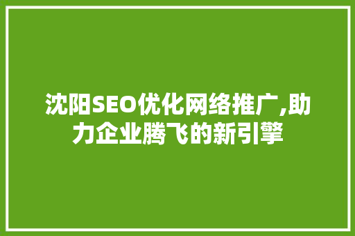 沈阳SEO优化网络推广,助力企业腾飞的新引擎