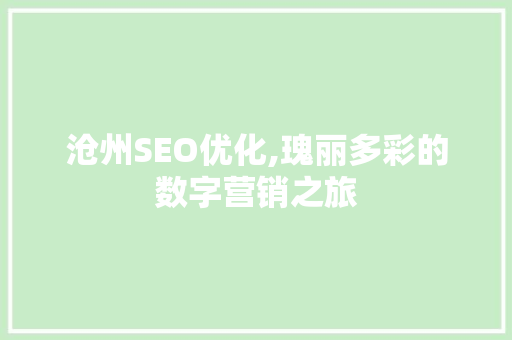 沧州SEO优化,瑰丽多彩的数字营销之旅 百度SEO