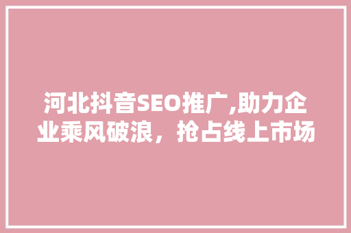 河北抖音SEO推广,助力企业乘风破浪，抢占线上市场制高点