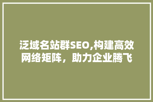 泛域名站群SEO,构建高效网络矩阵，助力企业腾飞 必应SEO