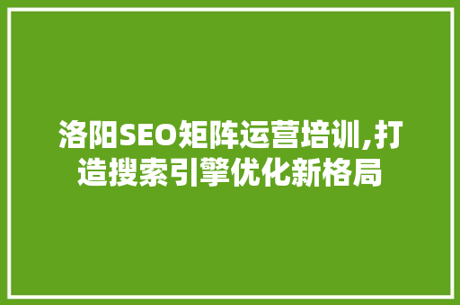 洛阳SEO矩阵运营培训,打造搜索引擎优化新格局 必应SEO