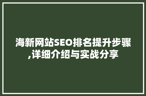 海新网站SEO排名提升步骤,详细介绍与实战分享 百度SEO
