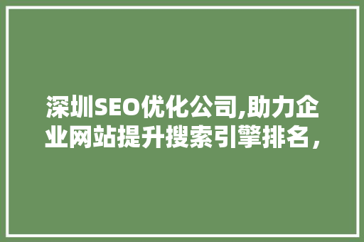 深圳SEO优化公司,助力企业网站提升搜索引擎排名，抢占市场先机
