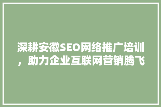 深耕安徽SEO网络推广培训，助力企业互联网营销腾飞
