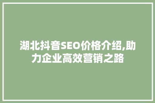 湖北抖音SEO价格介绍,助力企业高效营销之路 必应SEO