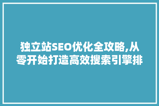 独立站SEO优化全攻略,从零开始打造高效搜索引擎排名 百度SEO