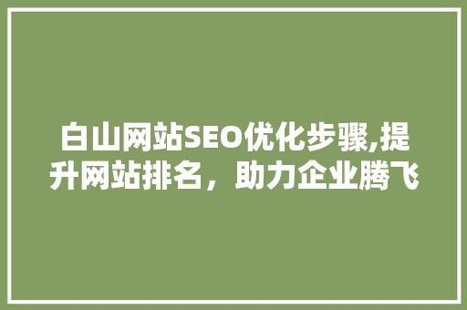 白山网站SEO优化步骤,提升网站排名，助力企业腾飞