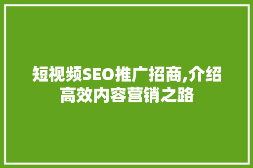 短视频SEO推广招商,介绍高效内容营销之路