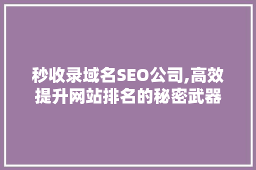秒收录域名SEO公司,高效提升网站排名的秘密武器