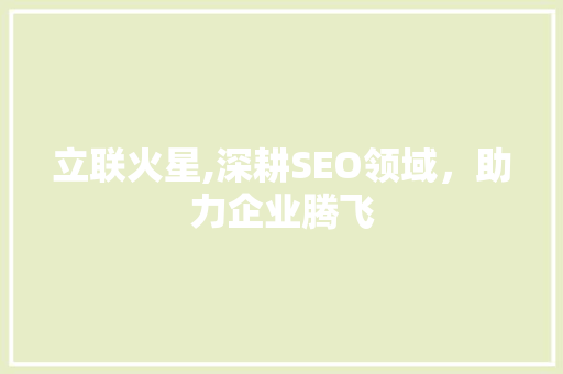 立联火星,深耕SEO领域，助力企业腾飞 神马SEO