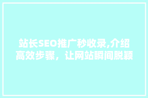 站长SEO推广秒收录,介绍高效步骤，让网站瞬间脱颖而出