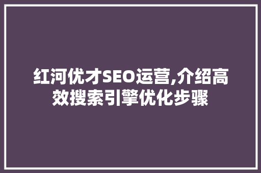 红河优才SEO运营,介绍高效搜索引擎优化步骤