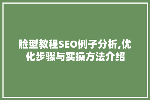 脸型教程SEO例子分析,优化步骤与实操方法介绍 百度SEO