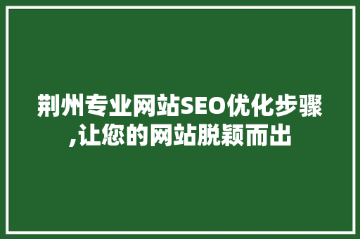 荆州专业网站SEO优化步骤,让您的网站脱颖而出 GoogleSEO