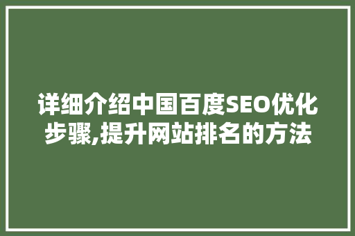 详细介绍中国百度SEO优化步骤,提升网站排名的方法 GoogleSEO