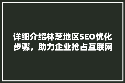 详细介绍林芝地区SEO优化步骤，助力企业抢占互联网高地 GoogleSEO