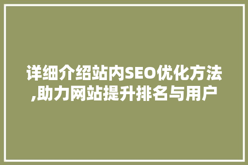 详细介绍站内SEO优化方法,助力网站提升排名与用户体验