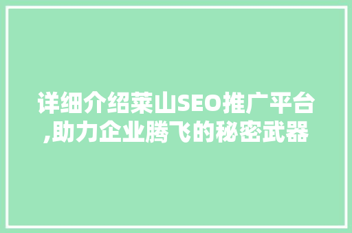 详细介绍莱山SEO推广平台,助力企业腾飞的秘密武器 神马SEO