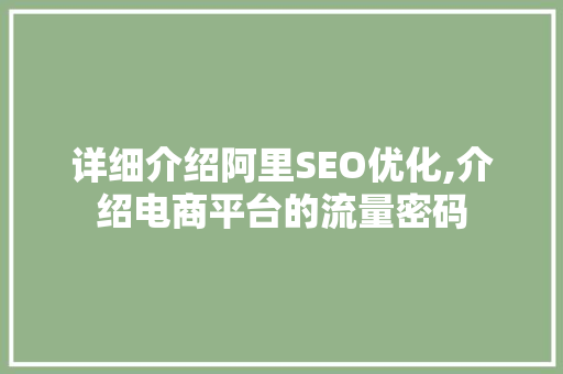 详细介绍阿里SEO优化,介绍电商平台的流量密码 必应SEO
