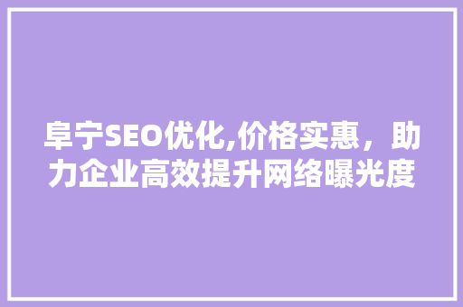 阜宁SEO优化,价格实惠，助力企业高效提升网络曝光度 GoogleSEO