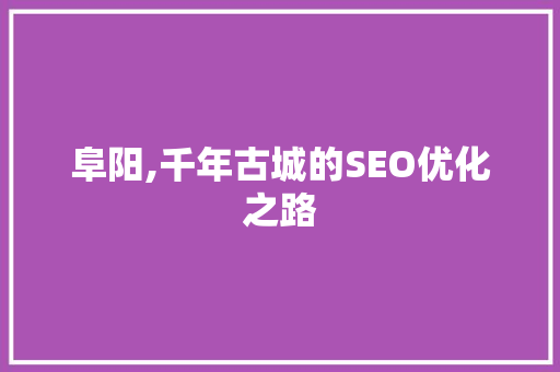 阜阳,千年古城的SEO优化之路 必应SEO