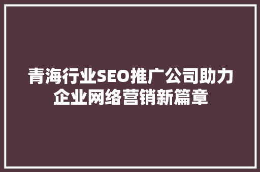 青海行业SEO推广公司助力企业网络营销新篇章 搜狗SEO