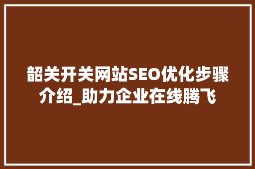 韶关开关网站SEO优化步骤介绍_助力企业在线腾飞 百度SEO