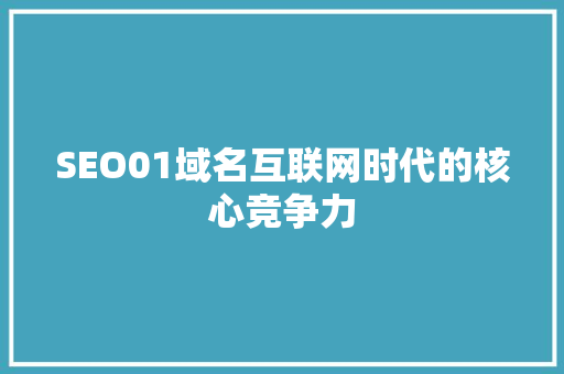 SEO01域名互联网时代的核心竞争力 搜狗SEO