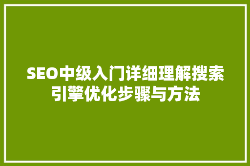 SEO中级入门详细理解搜索引擎优化步骤与方法 神马SEO
