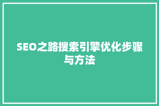 SEO之路搜索引擎优化步骤与方法 百度SEO