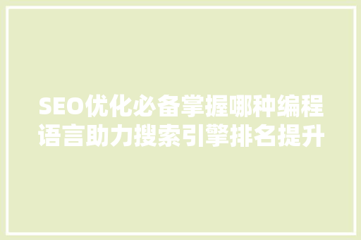 SEO优化必备掌握哪种编程语言助力搜索引擎排名提升 神马SEO