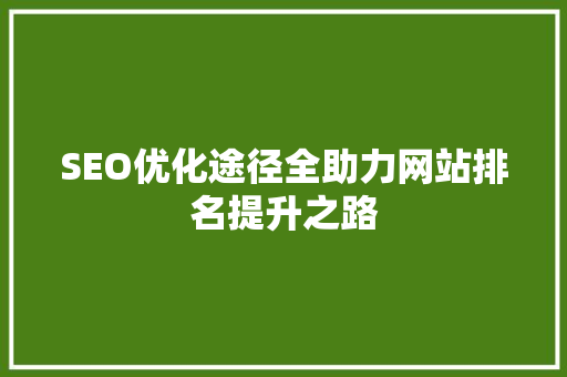 SEO优化途径全助力网站排名提升之路 GoogleSEO