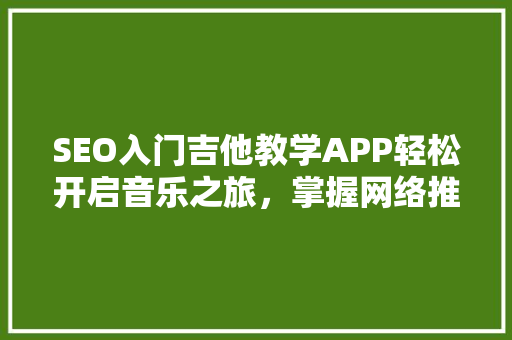 SEO入门吉他教学APP轻松开启音乐之旅，掌握网络推广之路 必应SEO