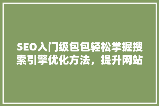 SEO入门级包包轻松掌握搜索引擎优化方法，提升网站流量与排名