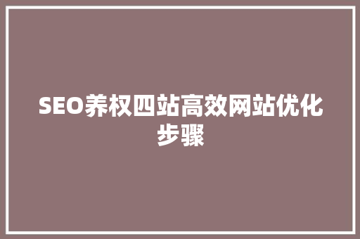SEO养权四站高效网站优化步骤 百度SEO