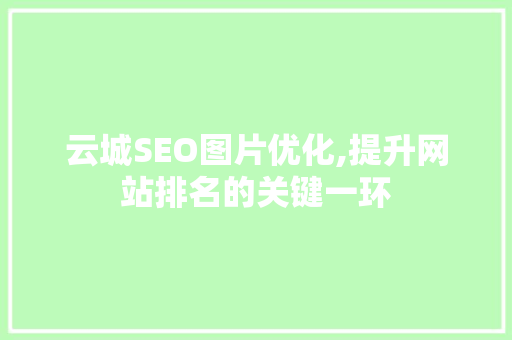云城SEO图片优化,提升网站排名的关键一环 必应SEO