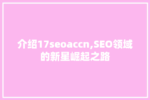 介绍17seoaccn,SEO领域的新星崛起之路 神马SEO