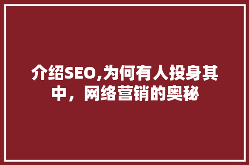 介绍SEO,为何有人投身其中，网络营销的奥秘 搜狗SEO