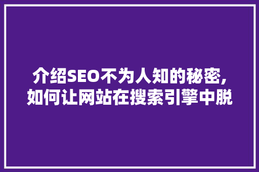 介绍SEO不为人知的秘密,如何让网站在搜索引擎中脱颖而出 神马SEO