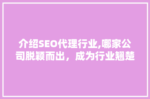介绍SEO代理行业,哪家公司脱颖而出，成为行业翘楚 搜狗SEO